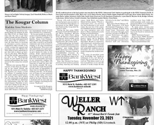 The Kougar Column- 11/18/2021